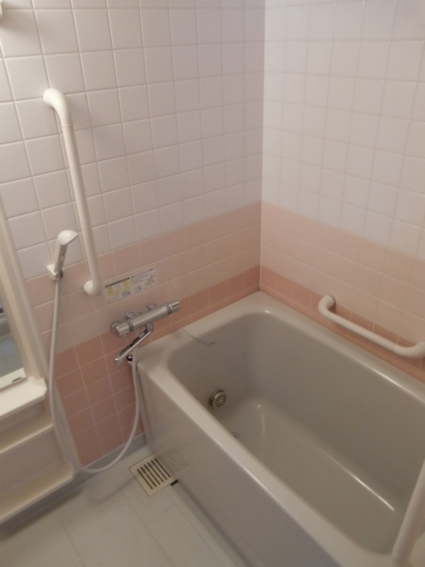 Bath. Bathroom