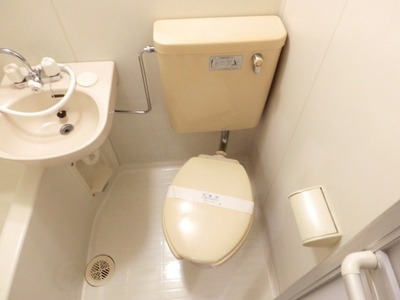 Toilet. Toilet