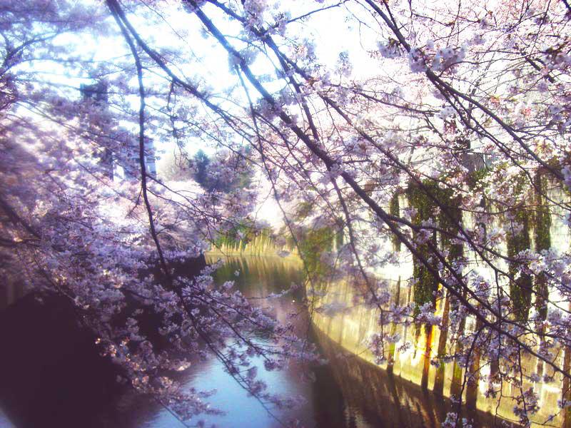 Streets around. Kanda River feel the four seasons