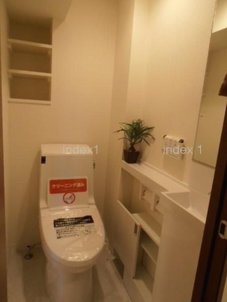 Toilet. Mirror and hand washing with a toilet