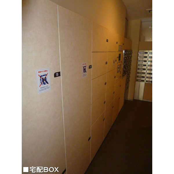 Other. Delivery Box