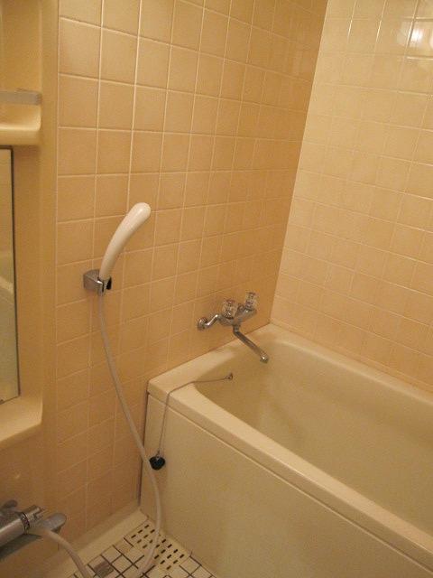 Bathroom. Indoor (12 May 2013) Shooting