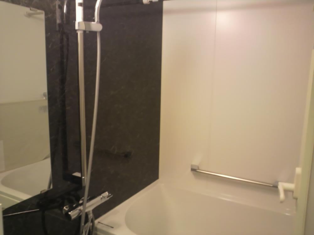 Bathroom. Indoor (12 May 2013) Shooting