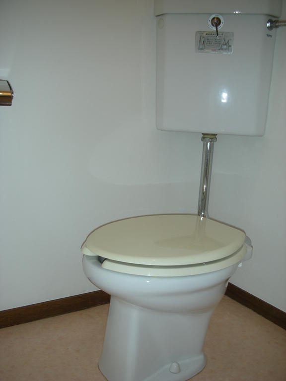 Toilet. Toilet