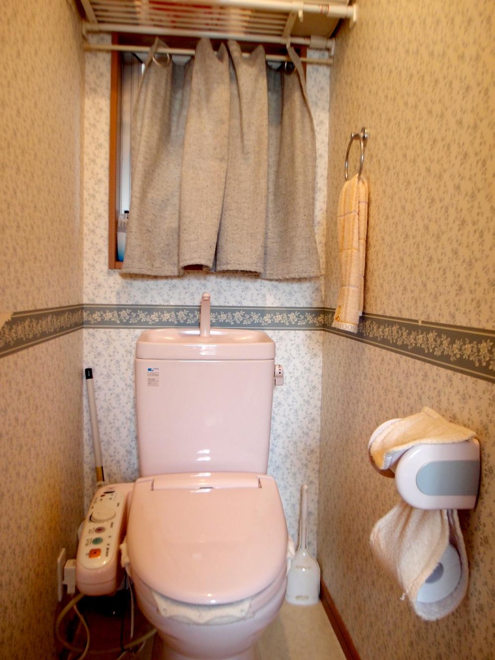 Toilet. Room (August 2013 shooting)