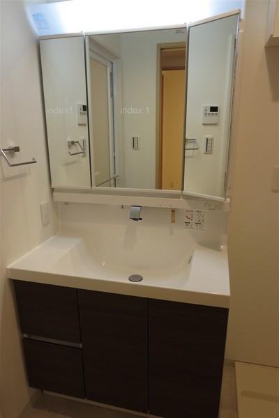 Wash basin, toilet. Vanity with shower