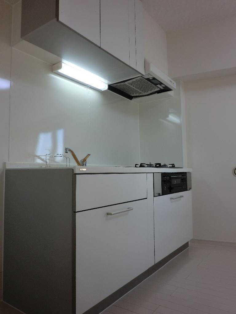 Kitchen. Indoor (12 May 2013) Shooting