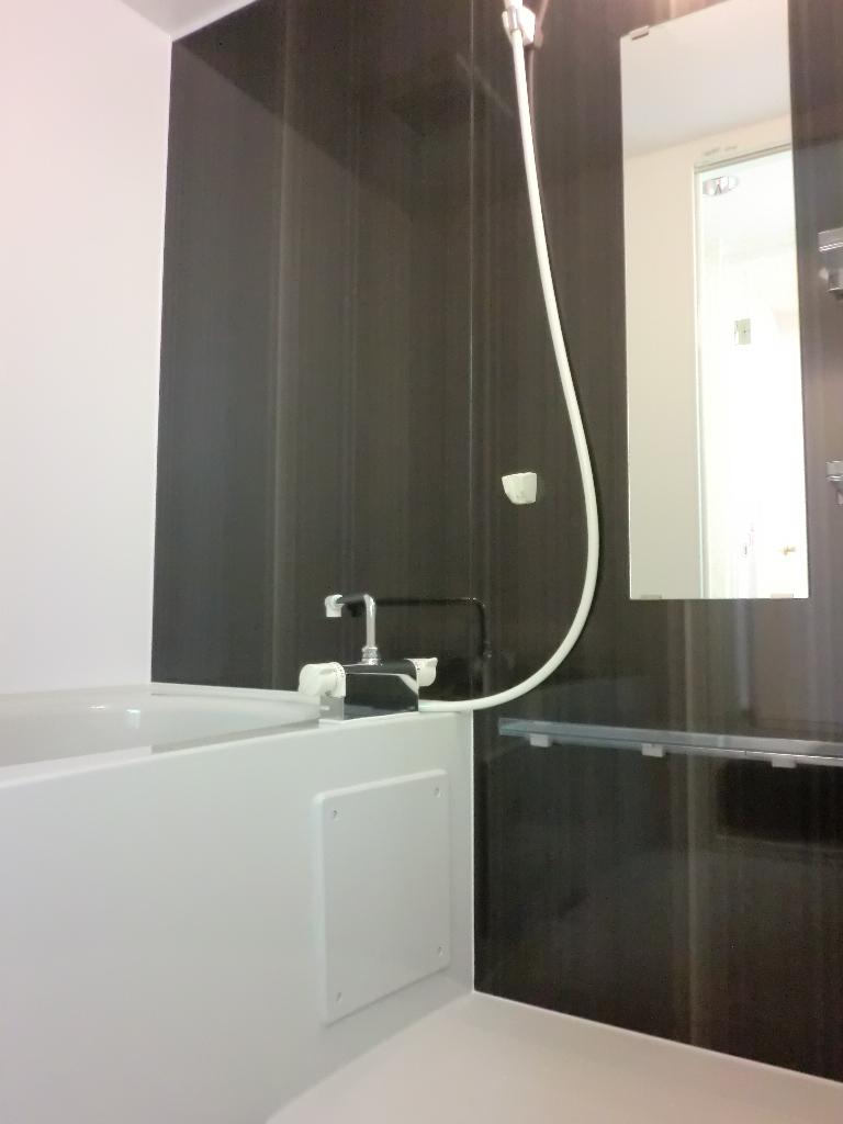 Bathroom. Indoor (12 May 2013) Shooting