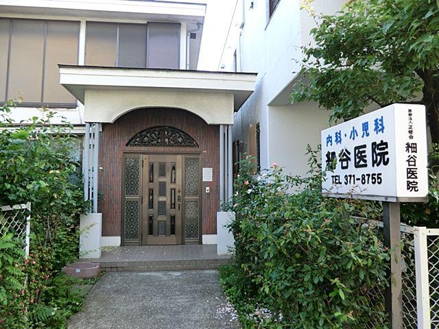 Other. Hosoya clinic