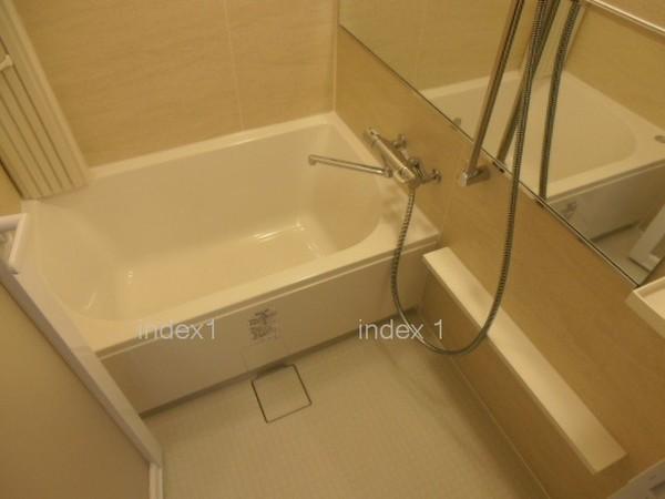 Bathroom. Shiny bathroom also been new exchange