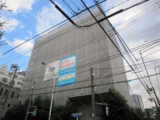 Local appearance photo. Appearance 1 (large-scale repairs)