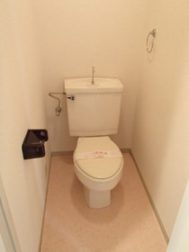 Toilet. Toilet