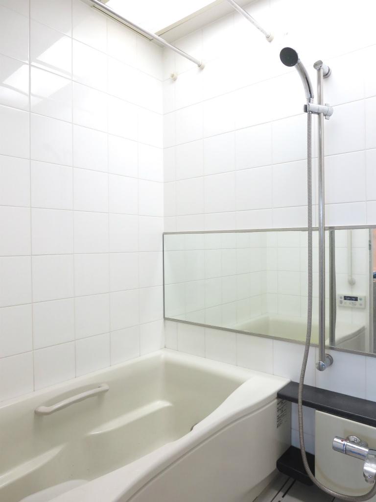 Bathroom. Indoor (12 May 2013) Shooting