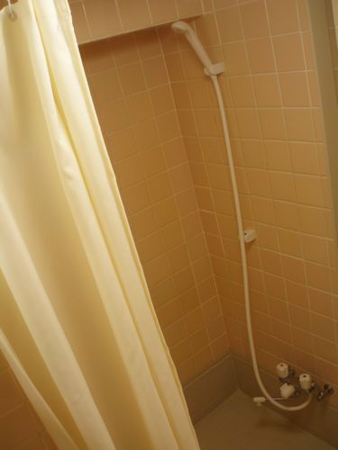 Bath. Shower space