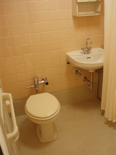 Toilet. Toilet