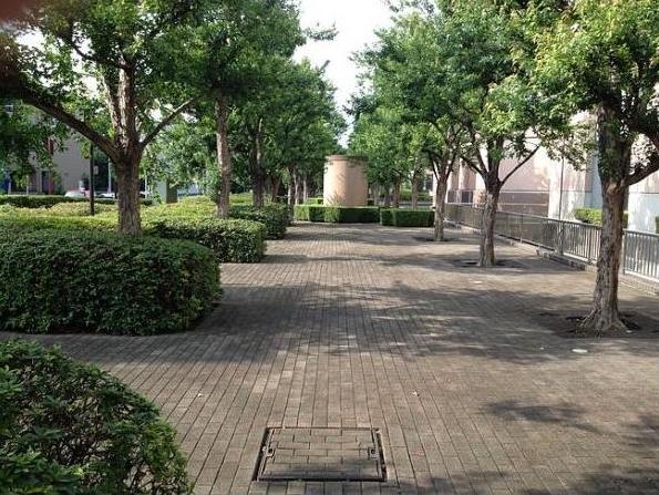 Other common areas. Common areas