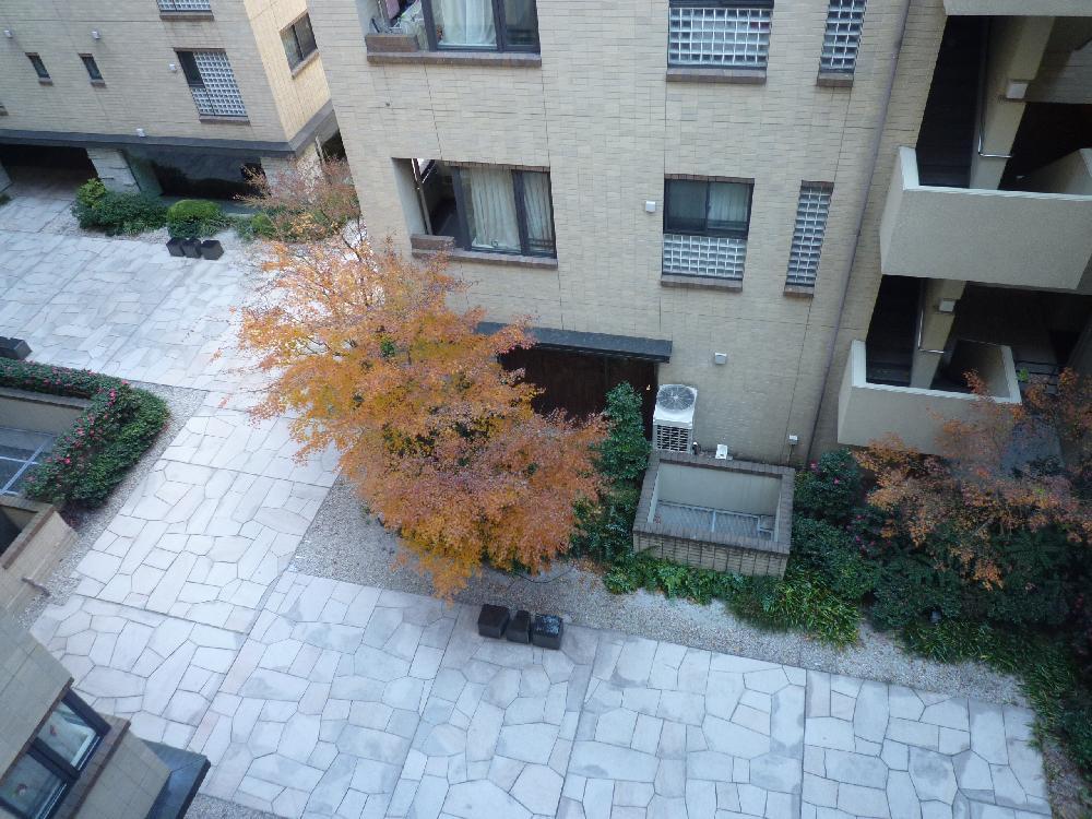 Other common areas. Courtyard (December 2013) Shooting