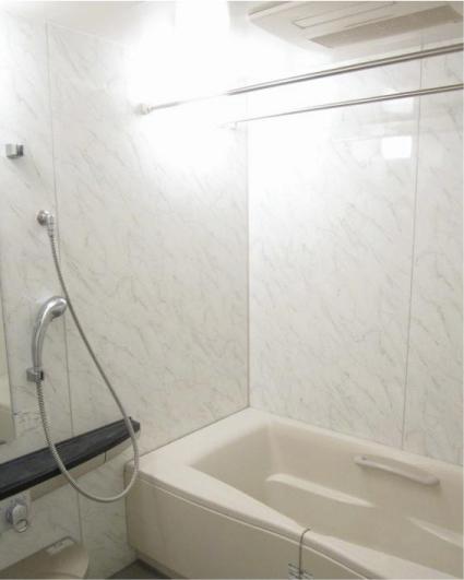 Bathroom. Local (12 May 2013) Shooting
