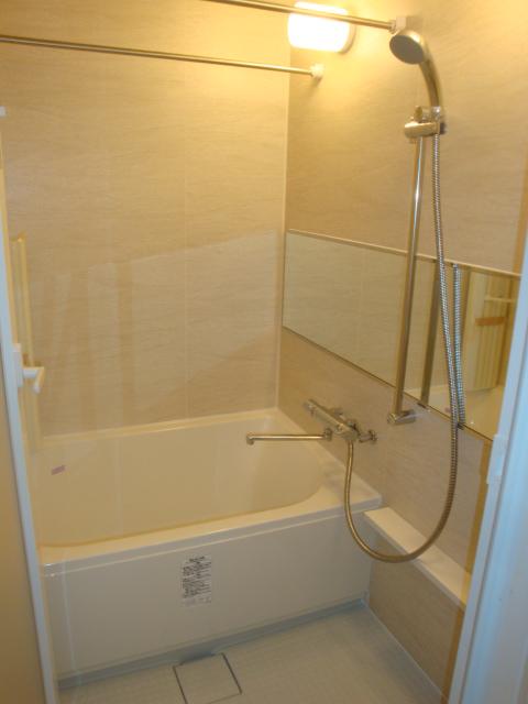 Bathroom. Indoor (11 May 2013) Shooting
