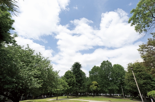 Toyama Park (about 70m ・ 1 minute walk) the vast Metropolitan park of about 180,000 sq m