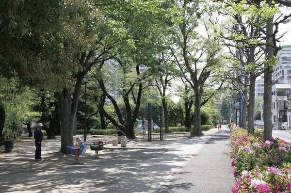 Side mountain park (about 350m ・ A 5-minute walk) baseball field, Futsal field, It's tennis wall beating facility, Square with the play equipment also
