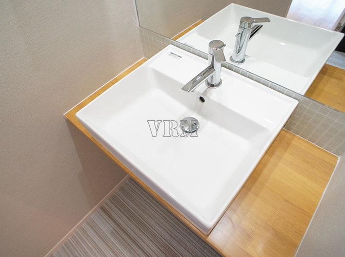 Wash basin, toilet. Vanity, such as hotels