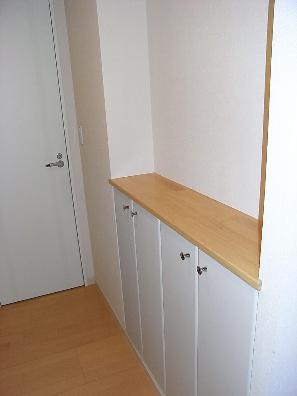 Other introspection. Storage of the corridor