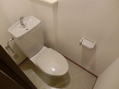Toilet. Lavatories