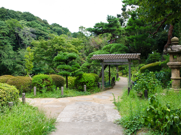 Surrounding environment. New Edogawa Park (about 320m ・ 4-minute walk)