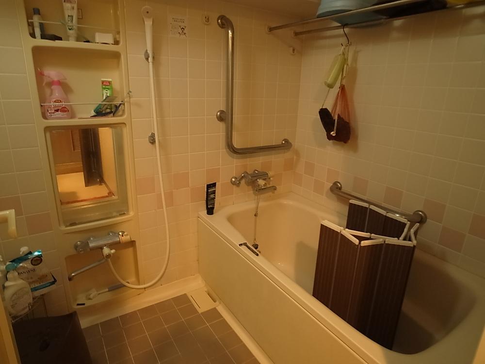 Bathroom. Indoor (12 May 2013) Shooting