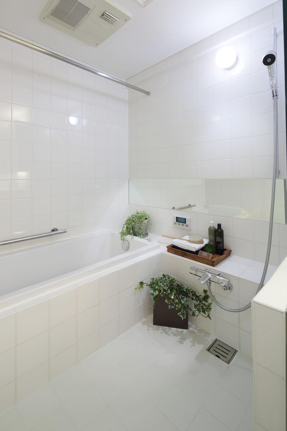 Bathroom. Indoor (10 May 2013) Shooting