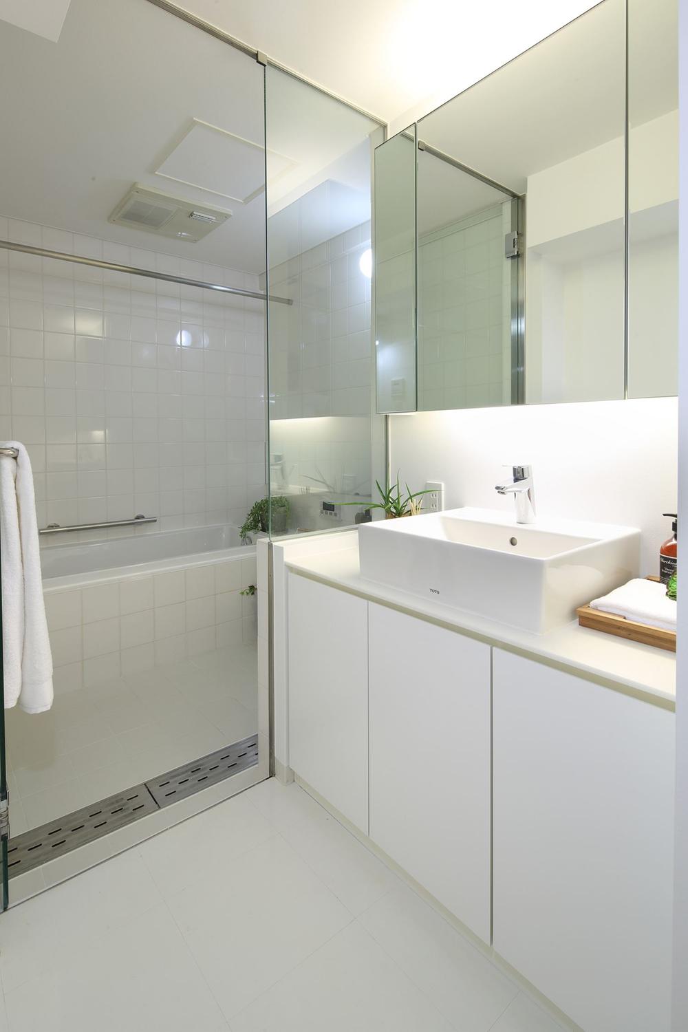 Wash basin, toilet. Indoor (10 May 2013) Shooting