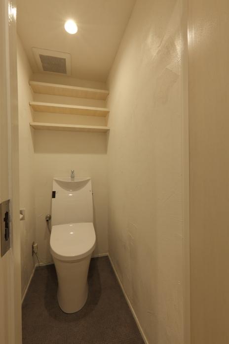 Toilet. Toilet (November 2013) Shooting