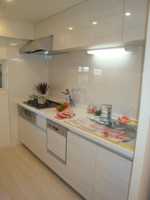 Kitchen. Indoor (12 May 2013) Shooting