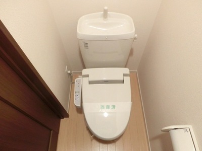 Toilet. Cleaning function toilet