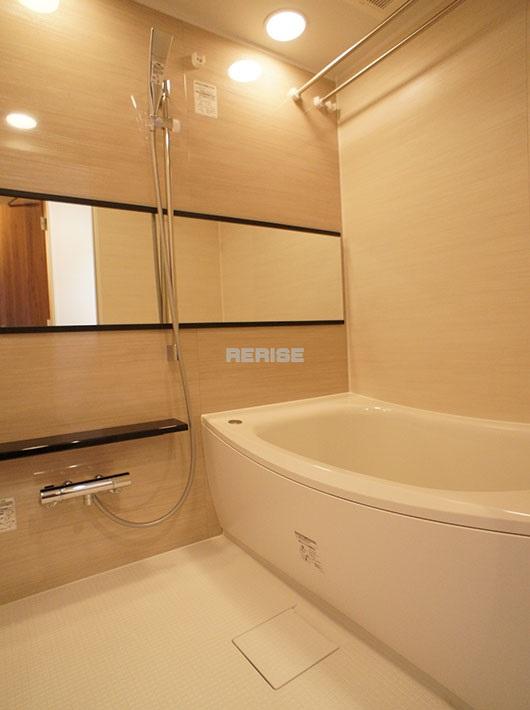 Bathroom. Bathroom Dryer, With reheating function