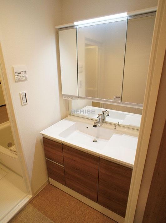 Wash basin, toilet. Vanity with a shower head