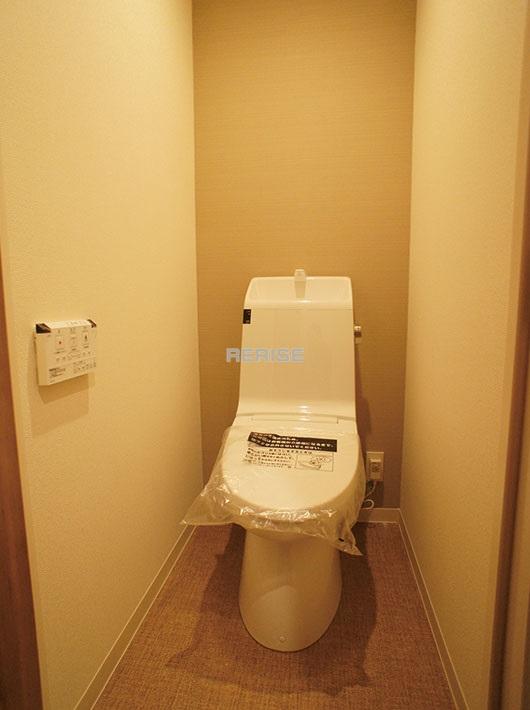 Toilet. Washlet toilet
