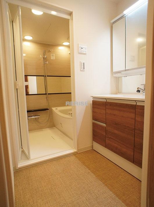 Wash basin, toilet. Dressing room