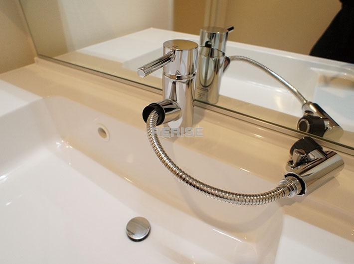 Wash basin, toilet. Basin is a vanity with a shower head