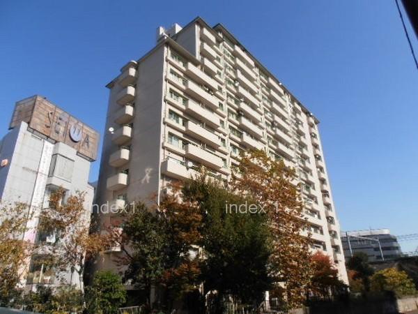 Local appearance photo. Large-scale apartment of the total number of units 181 units
