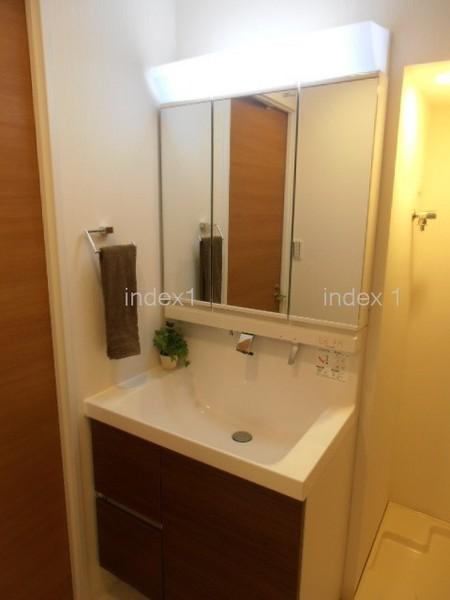 Wash basin, toilet. Vanity with happy shower
