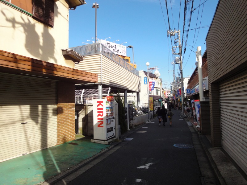 Other. Sakurajosui Station