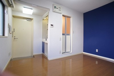 Entrance. Studio type of room! All season a comfortable air-conditioned