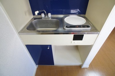 Kitchen. IH stove installation completed! It is fashionable blue panel! 