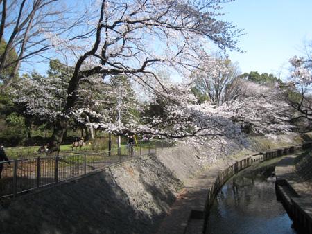 park. 280m until Wada moat park