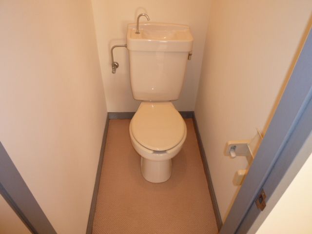 Toilet. Clean toilet