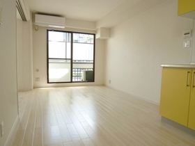 Living and room. Spacious living space LDK