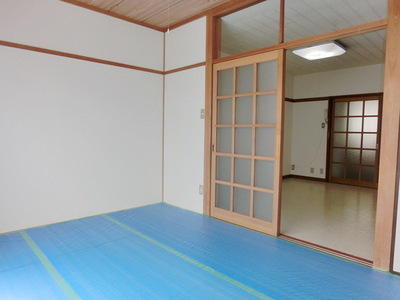 Living and room. Tatami is a new re-covering.