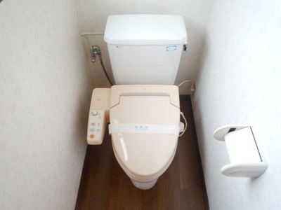 Toilet. Bidet